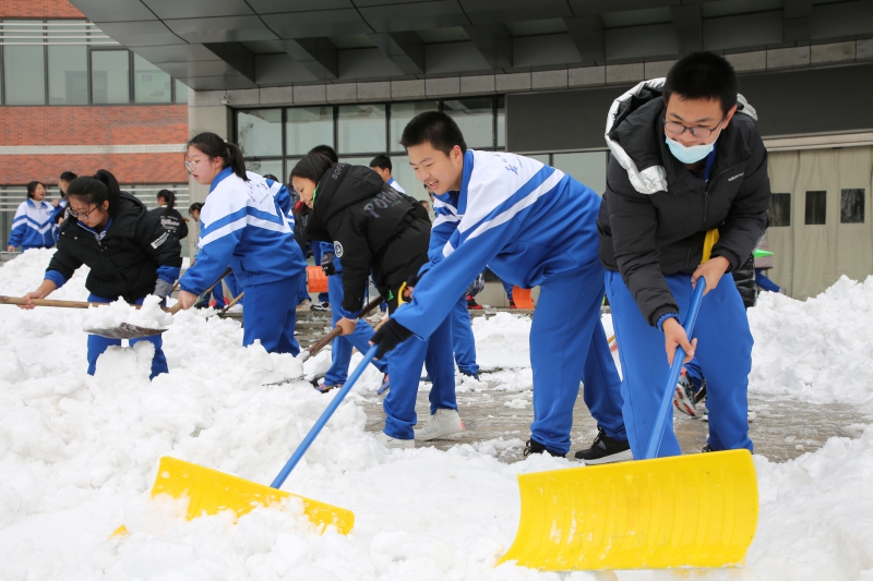 校内扫雪 (2).JPG